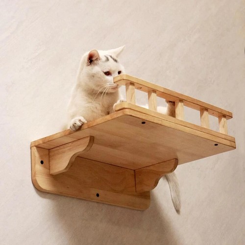 Petomg cat perch - perch,, wall