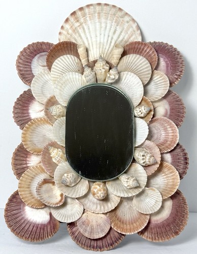 Sea shell mirror coastal - sea,