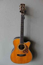 Brand New Blueridge BR-183CE