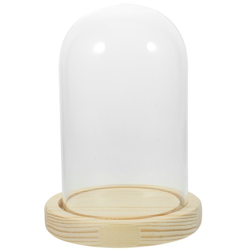 Glass cloche dome - cloche, with