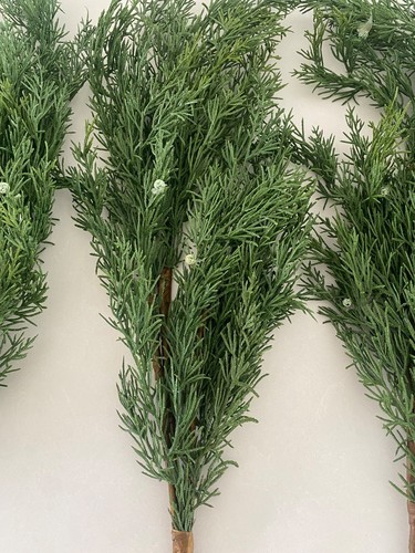 Neptune faux fern - neptune, stems