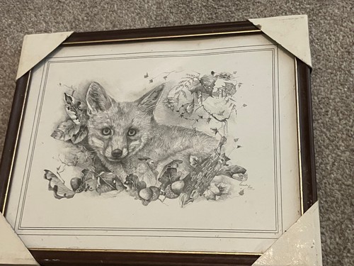 Glenda rae signed - signed, fox