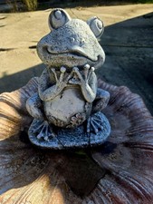 Happy FROG/thinking Frog