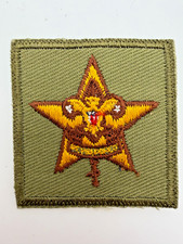 Vintage boy scout - boy,