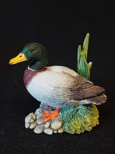 Border fine arts drake - fine,