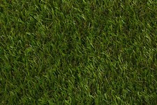 40mm Tampa - Budget Artificial Grass Astro Cheap Lawn Fake Turf 2m 4m  wide