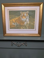 Stephen Gayford Shallow Waters Tiger Print Limited Edition 60/1175 Signed/ COA