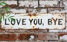 Humorous Metal Sign. "LOVE