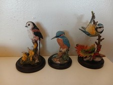 3 Country Artist Birds  Blue