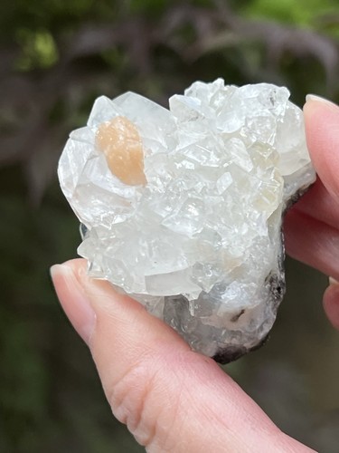 Apophyllite sparkly gemmy - apophyllite,
