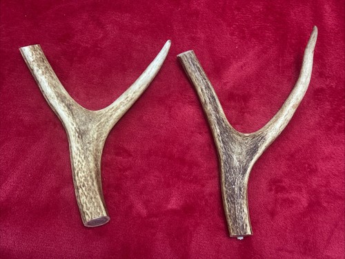 Pieces red deer - pieces,
