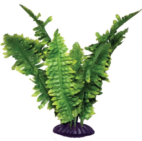 Komodo reptile plants canopy - komodo,