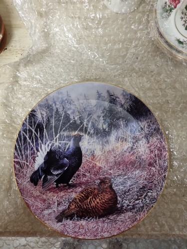 Wedgwood decorative plate - decorative,