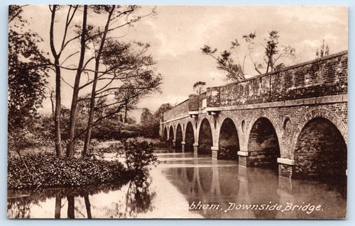 Cobham surrey postcard - cobham,