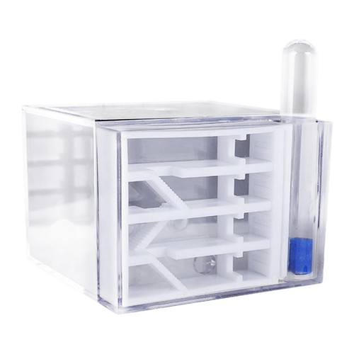 Ant farm habitat transparent - ant,