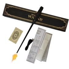 Magic Fire Dumbledore Hermione