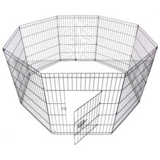 Dog Puppy Pet Rabbit Cat