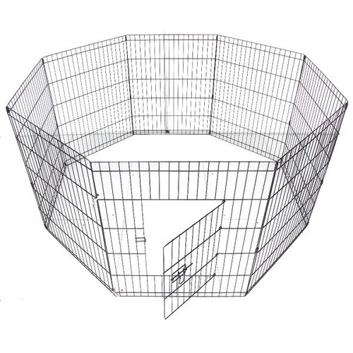 Dog puppy pet rabbit - dog,