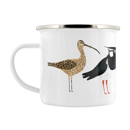 Izzirainey coastal birds - coastal,