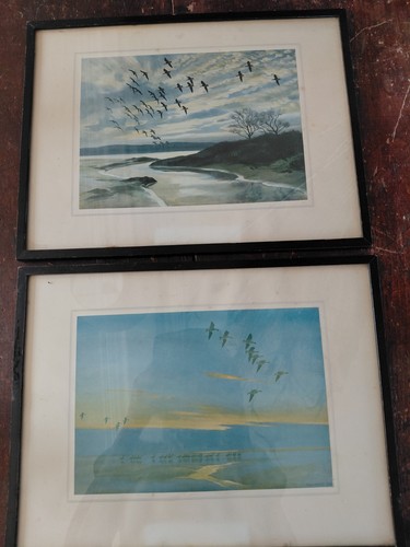 Vintage framed peter scott - vintage,