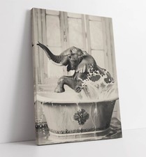 ELEPHANT SPLASHING IN BATH
