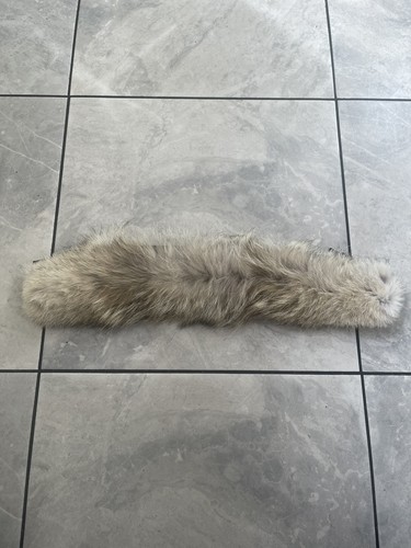 Canada goose fur trim - canada,