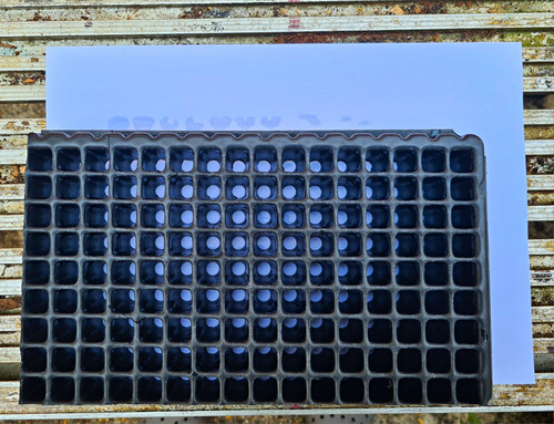 Rigid plastic 144 cell seed - plastic,