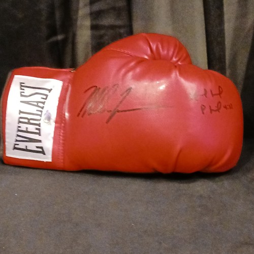 Everlast boxing glove dual - everlast,