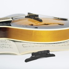 Mandolin Musical Instrument