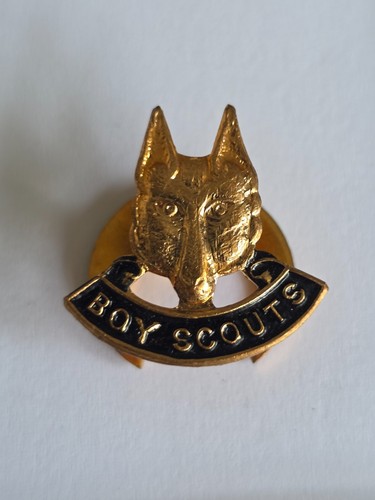 Vintage boy scouts - scouts, wolf