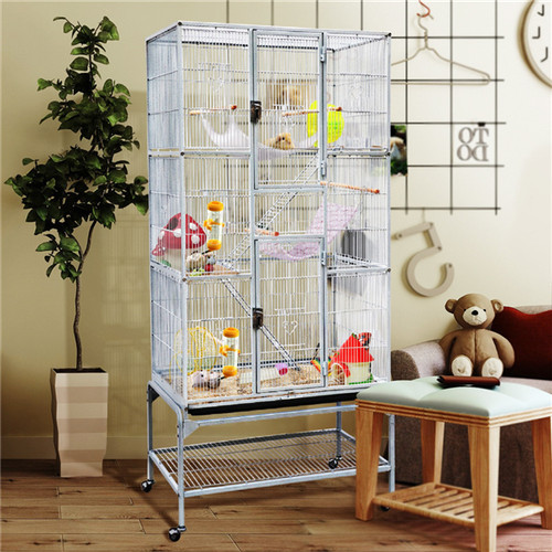Large bird cage parrots - bird,