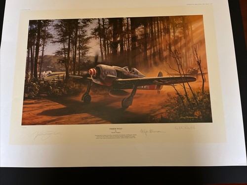 Nicholas trudgian aviation art - nicholas,