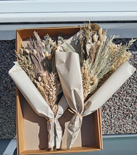 Brand new & Boxed  2 x Large