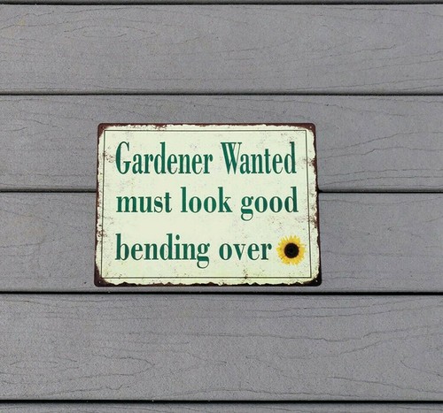 Gardener wanted bending - bending, over