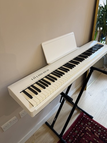 Roland 30x white digital - roland,