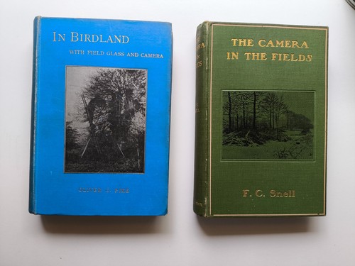 Birdland with field glasses - in,