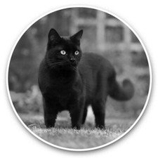 2 x Vinyl Stickers 15cm (bw) -