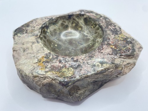 Devonian period 300 million - period,