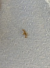 9ct 375 yellow gold - 375,
