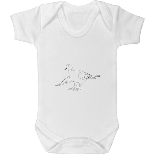 Bowing pigeon baby - baby, /