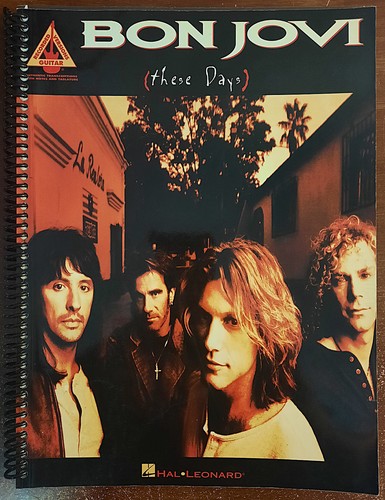 Bon jovi these days - these,