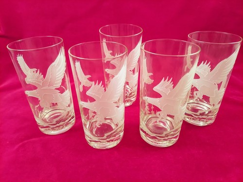 Set american bald eagle - of, 5