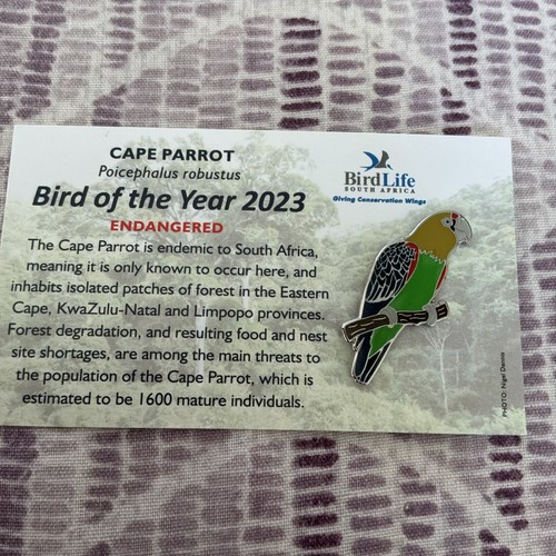 Not rspb birdlife south - birdlife,
