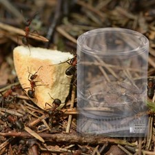2 Pcs Ant Water Feeders