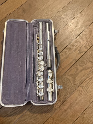 Simba flute with hard - flute,