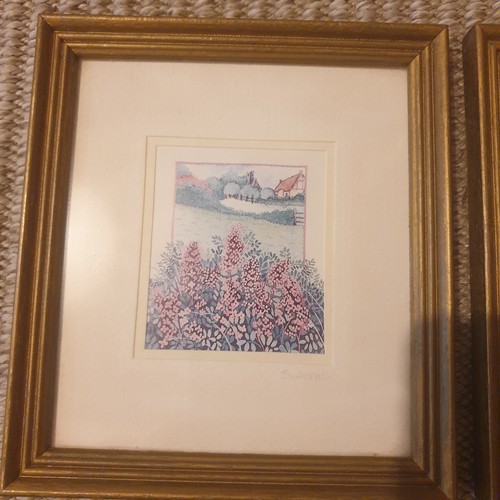Sharon jervis floral - jervis,