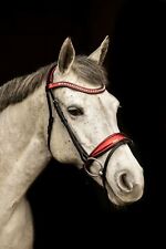 Equipride Anatomical Bridle