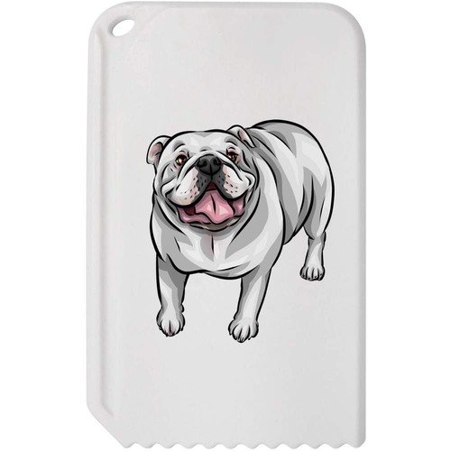 White english bulldog - 'white, bulldog'
