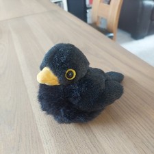 Black Bird with working bird