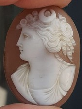 19th Century Carved Shell
